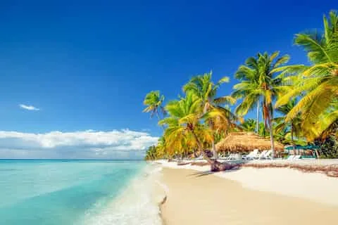 Saona Island Full-Day Cruise