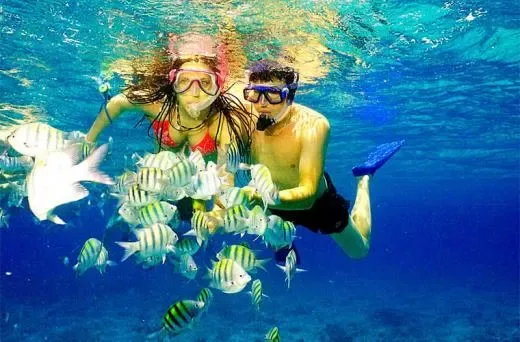 Catalina Island Snorkel & Beach