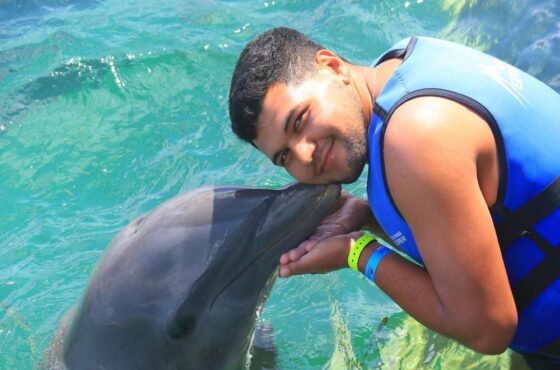 Swimming with Dolphins