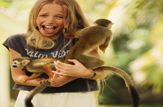 Monkeyland Excursion