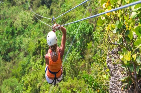 Zipline Adventure